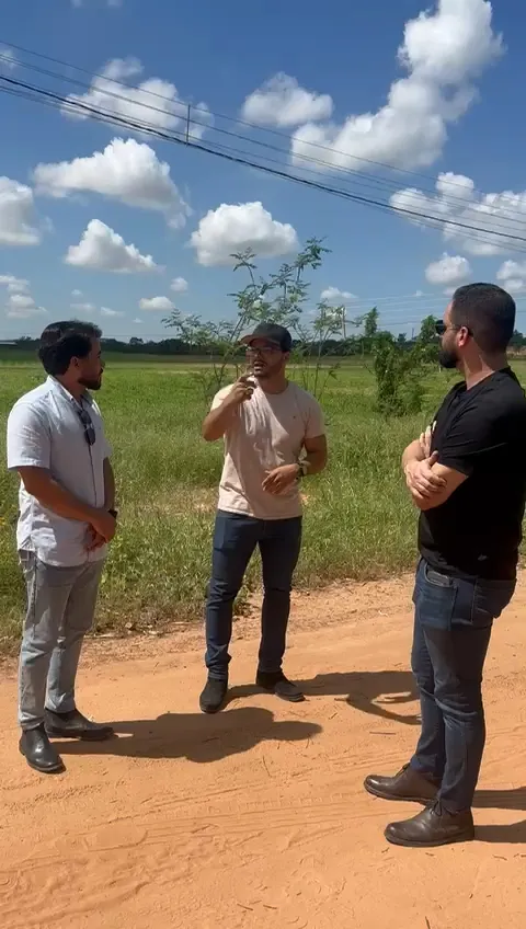 Contato prático e manejo da moringa